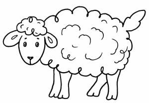 Раскраска Добрая овечка
