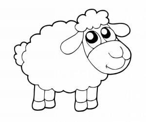 Раскраски Овца