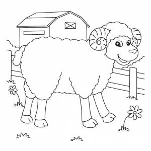 Раскраски овцы для детей