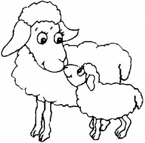 Раскраски овечки, Раскраска Овечки Овца