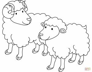 Раскраска Баран и овца