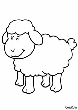 Раскраска Забавная овечка