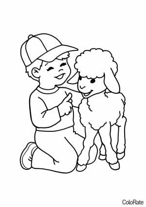 Раскраска Мальчик и овечка