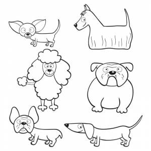 Раскраски Раскраска Породы собак