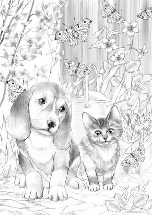 Раскраска собака и котик