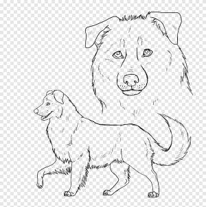 Собака породы щенок австралийская овчарка немецкая овчарка арт, щенок, животные, carnivoran png