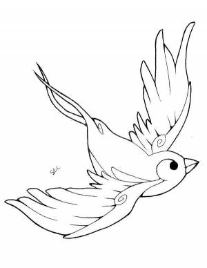 Раскраски Раскраска Летящая птица птицы птицы