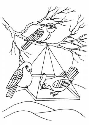 Раскраски Перелётных птиц