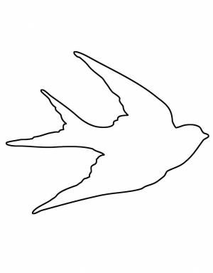 Раскраски Контуры птиц ласточка контур, птичка контур для вырезания из бумаги