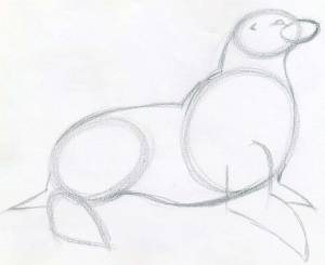 Как рисовать тюленя покажут уроки рисования находящиеся в Киеве