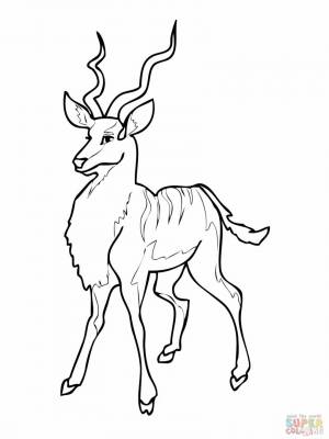 Pаскраска антилопа 22598