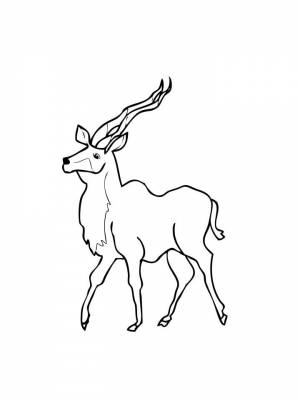 Раскраска Антилопа  картинку для девочек
