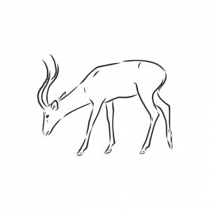 Антилопа эскиз векторной графики черно-белый рисунок
