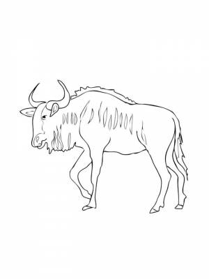 Раскраска Антилопа картинка в формате  для девочек