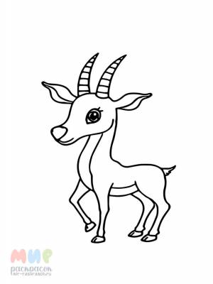 Раскраска Антилопа Гну