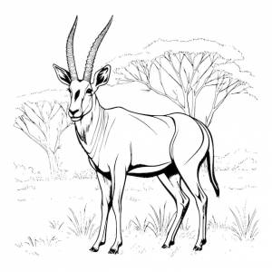 Раскраски антилопы для детей
