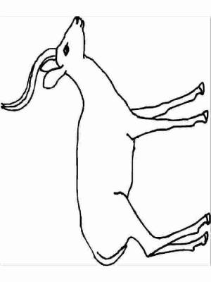 Раскраски Антилопа