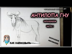 Как нарисовать Антилопу ГНУ карандашом шаг за шагом