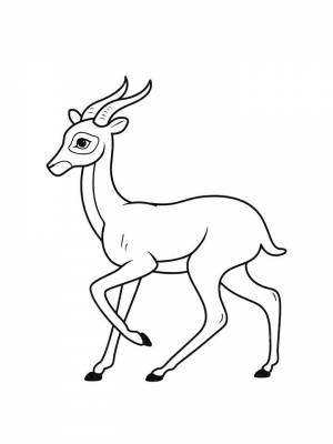 Раскраски Антилопа   в формате