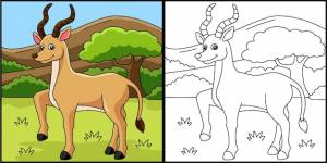 Вектор раскраски антилопы