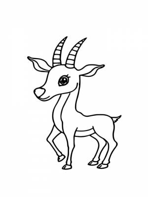 Раскраски Антилопа   в формате