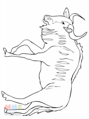 Раскраска Антилопа