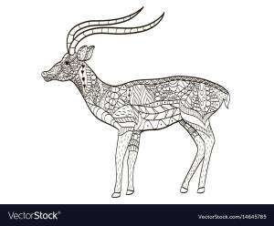 Раскраска антилопа