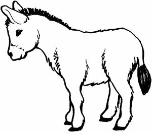 Раскраска осел