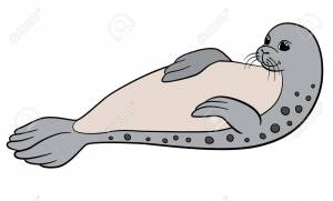 Морской котик рисунок для детей