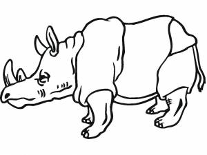 Раскраска Носоро 5