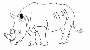 Раскраски Носорог для детей