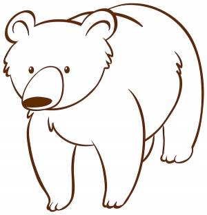 Bear Drawing Изображения