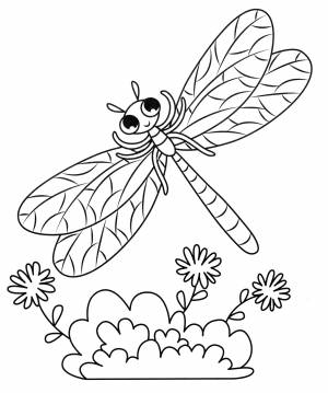 Раскраска Милая стрекоза