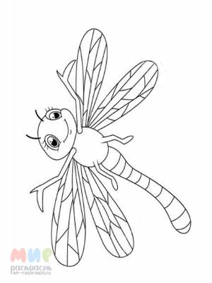 Раскраска Стрекоза