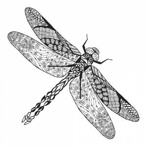 Раскраска Стрекоза со сложными узорами