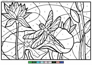 Раскраска Стрекоза