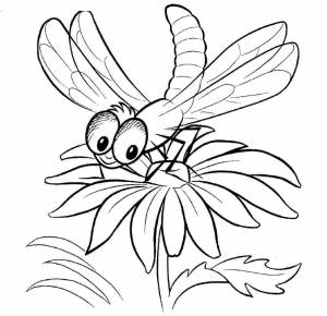 Раскраска «Стрекоза»