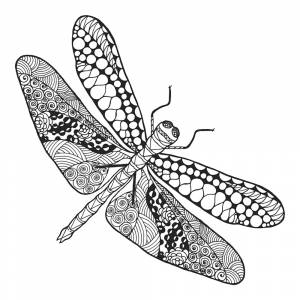 Раскраска Стрекоза с орнаментом