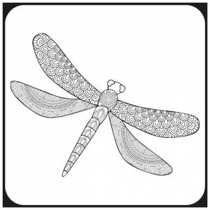 Раскраска стрекоза для взрослых