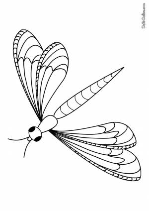 Раскраска Стрекоза