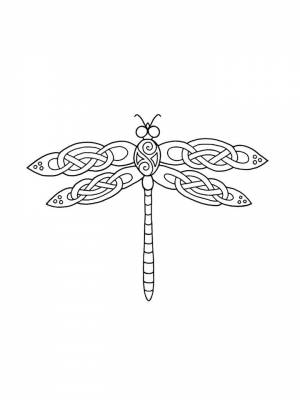 Раскраска Стрекоза для детей