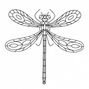 Стрекоза книжка-раскраска линейная иллюстрация
