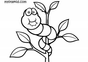 Раскраски насекомых для детей