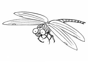 Раскраска Стрекоза