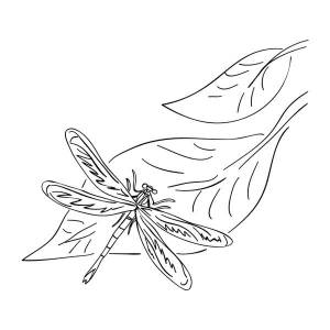 Раскраска Стрекоза