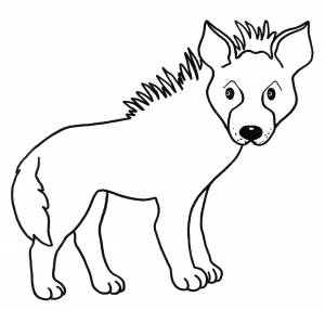 Раскраска Гиена