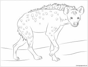 Гиена раскраска