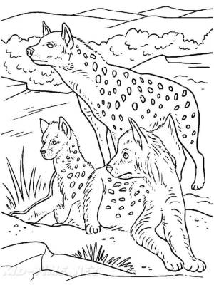 Раскраски Гиена