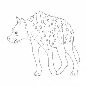 Эскиз векторной иллюстрации гиены