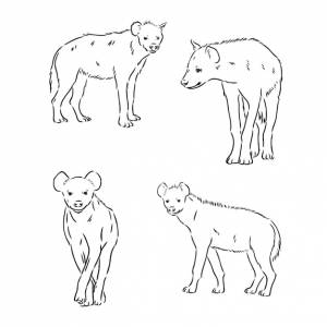 гиена, нарисованная вручную каракулями на белом фоне